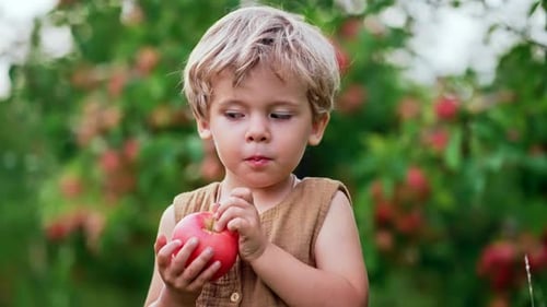 Netter kleiner Kleinkind-Junge isst reifen roten Apfel im schönen Garten