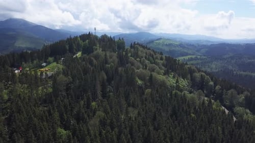 Beautiful green mountain landscape with trees in Carpathians