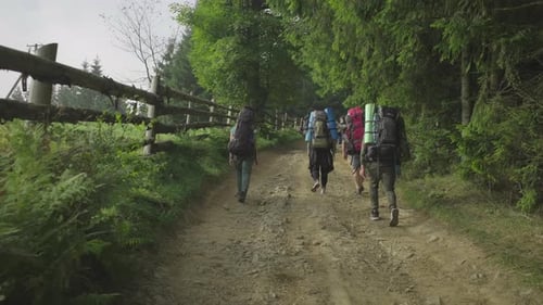 Gruppe von Wanderern mit Rucksäcken, die am nebligen Morgen den Berg erklimmen.