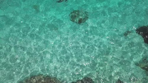 Sea Surface Ripple at Sunlight with Transparent Clear Water and Visible Sandy Bottom with Underwater