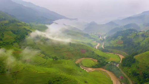 Aerial top view of paddy rice terraces, green agricultural fields