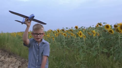 The guy is played with a toy model airplane on the field with sunflowers.