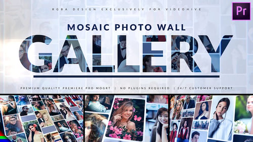 Mosaik-Fotogalerie | Logo Reveal