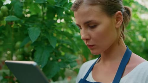 Woman Farmer Checking Plants Quality with Digital Tablet in Garden Closeup