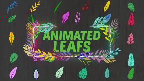 Vibrant Animated Leaves Text Opener and Transitions