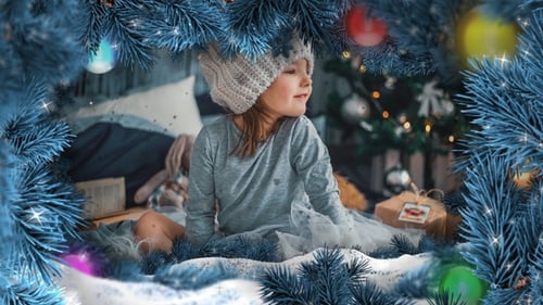 Christmas Pine Tree Branches Frame Opener