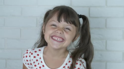 Smiling Child with Pigtails Posing Indoors