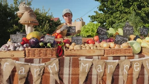 Young Woman Selling Vegetables at Farm Market