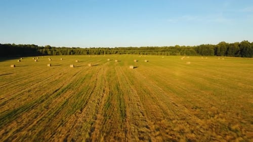 Rollen der Heuhaufen auf dem Spielfeld