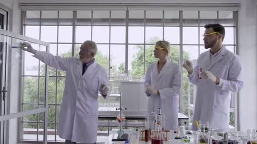 Scientists Doing Research Together in Bright Laboratory