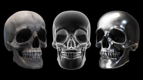 Rotating Skull Pack