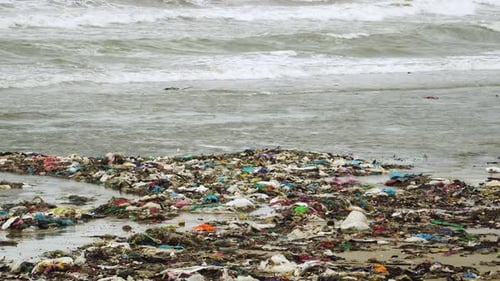 Polluted Beach Shoreline Covered with Trash and Waste