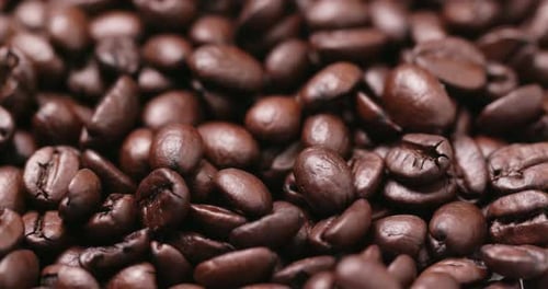 Close up of Roasted Coffee Beans