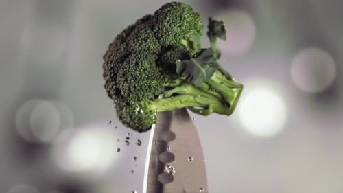 Broccoli Pointed on Knife Tip with Bokeh Background