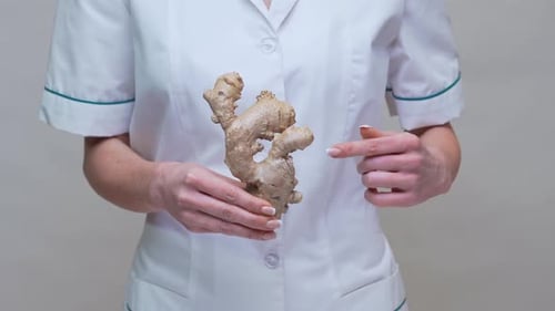 Nutritionist Doctor Healthy Lifestyle Concept - Holding Ginger Root