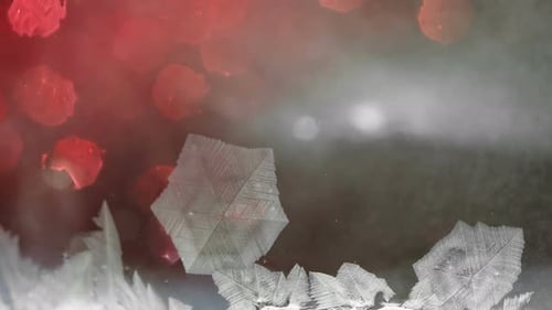 Intricate Ice Crystals Forming Abstract Patterns on Glass