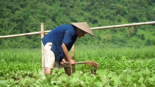 Gardener Raking Soil With Garden Tool