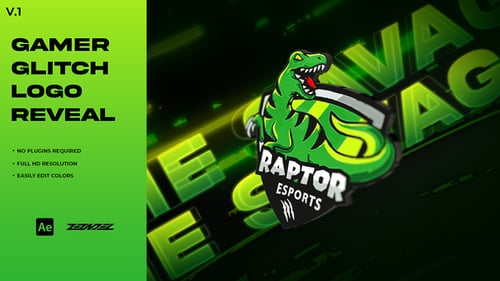 Gamer Glitch Logo Reveal