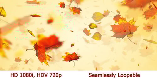 Falling Autumn Leaves Seamless Nature Background