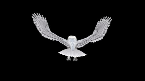 Arctic Owl - Flying Loop - Back View