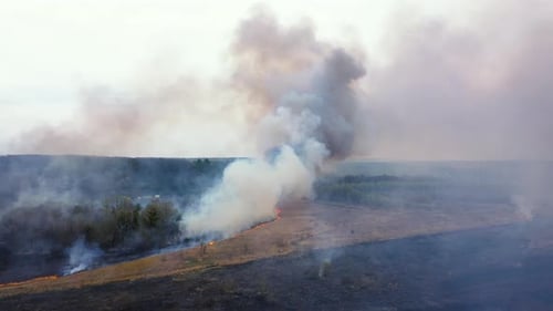 Aerial view of wildfire in forest. Flyover Burning forest and huge clouds of smoke