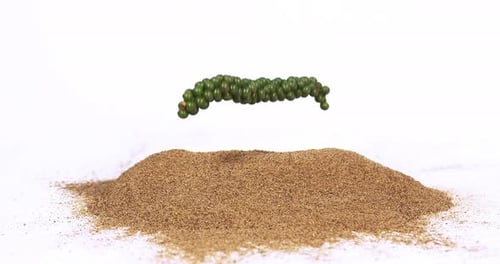 Fresh green pepper, piper nigrum, spice falling in pepper ground on white background, slow motion 4K