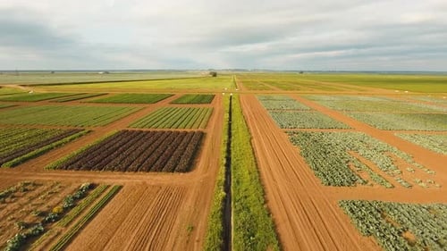 Aerial View of Farmland.