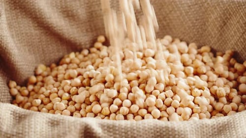 Grocery Taking Chickpeas Closeup