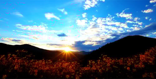 Sunrise over Mountain Range with Fields of Flowers