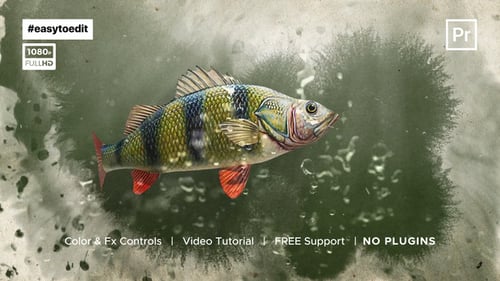 Fish Logo Reveal Template