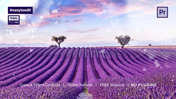 Photo Slideshow Template, Video Displays ft. dynamic photo slideshow ...