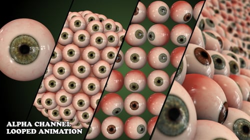 Realistic Human Eyeball 3D Animation with Multiple Variations