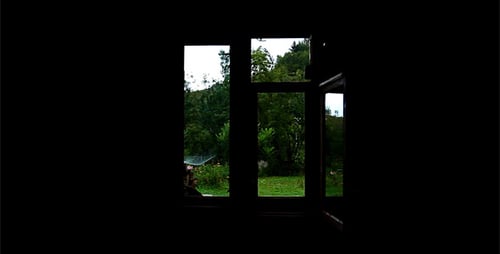 View Through The Window