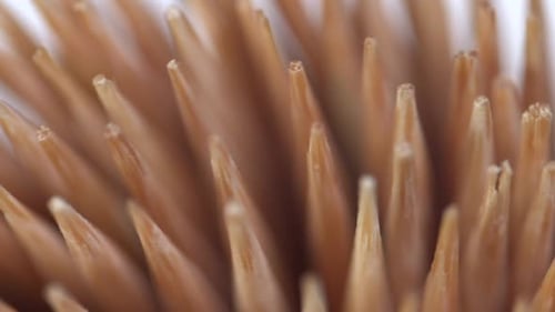 Makro-Zahnstocher aus Holz