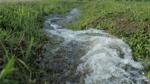 Crystal-Clear Stream Flowing Through Lush Green Grass