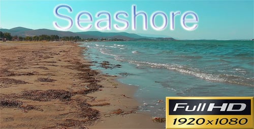 Sea Shore FULL HD