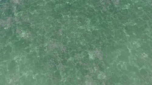 Clear Green Ocean Water Waves Aerial Loop