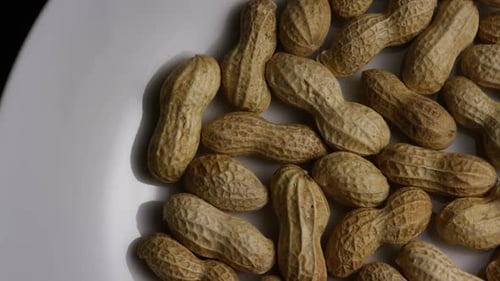 Shelled Peanuts on a White Plate, Close Up