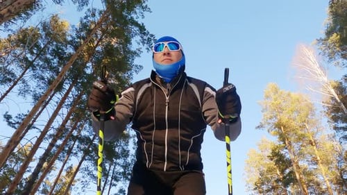 Low Angle View of Professional Skier Training in Winter Forest