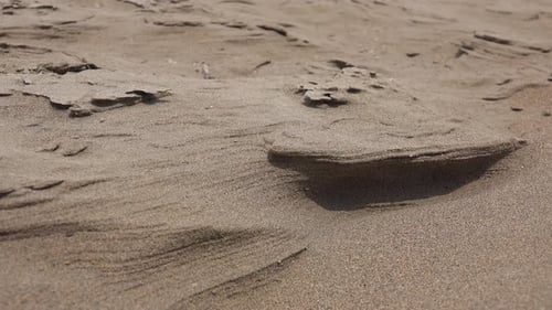 Sand Movements Shaped by the Wind in The Desert