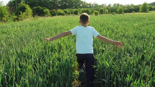 Boy with His Back Running Across the Field