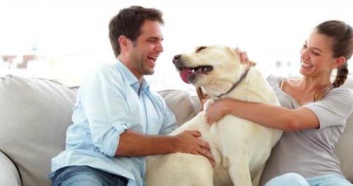 Couple Laughing and Cuddling Dog on Couch