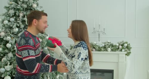 Loving Couple Exchanging Christmas Gift at Home