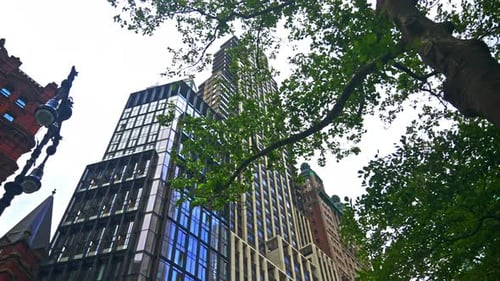 New York City Buildings And Trees