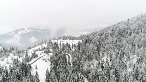 Flight Above Ukraine Winter Forest, Aerial Top View