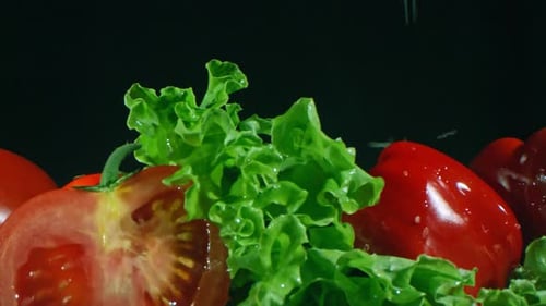 Fresh Salad Vegetables with Lettuce, Tomatoes, and Cucumber