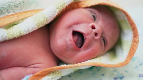 Newborn Baby Wrapped in a Towel