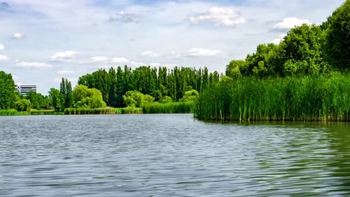 Green Urban Park.