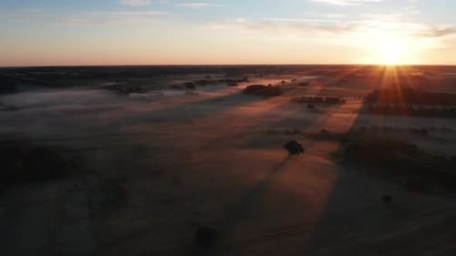 Vast Green Fields Partially Covered with Fog with a Horizon Meeting the Sunrise