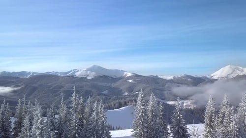 Aerial View of Snow-Covered Mountains and Winter Trees